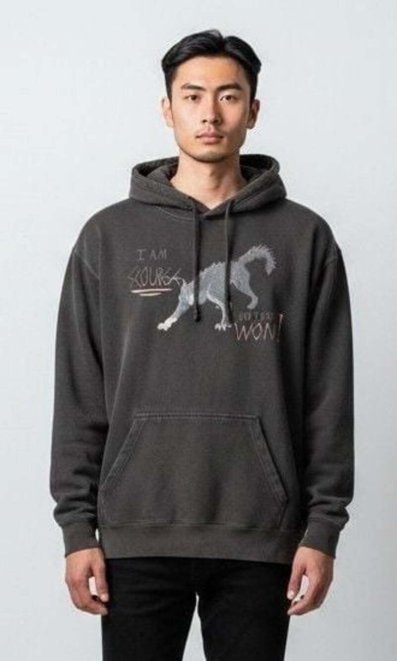 Delta Fleece I Am Scourge And I Have Won Wolf Graphic Hoodie Size Large
